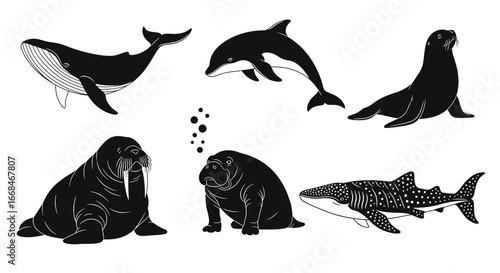 Diverse aquatic creatures depicted in simplistic black and white illustration