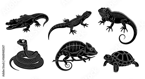 Exotic Reptile Silhouettes Set in Black and White Vector Illustration