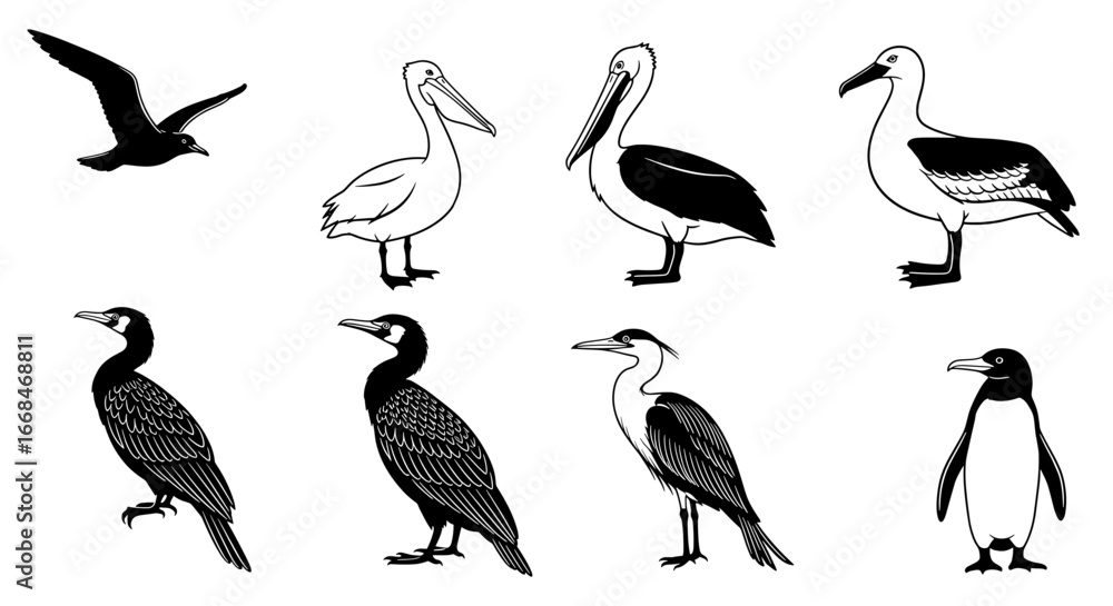 Fototapeta premium Line Art Collection: Assorted Bird Species in Black and White