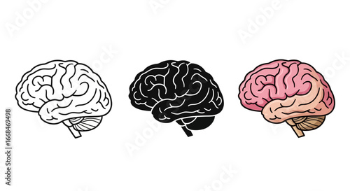 Three stylized illustrations of a human brain, showcasing different rendering styles.