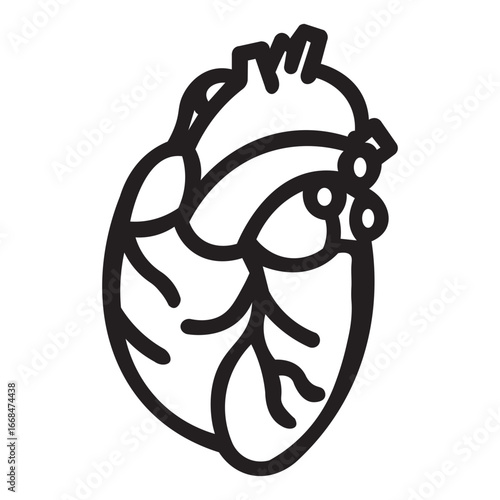 Vibrant Human Heart Organ Illustration