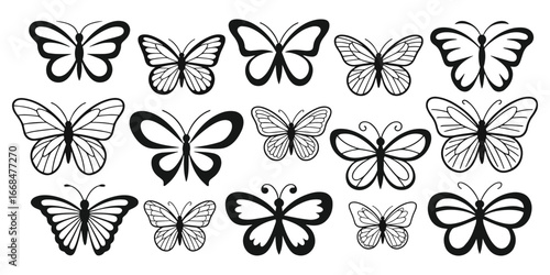 Butterfly silhouettes, Butterfly outlines in black and white, Butterfly Lineart Illustration