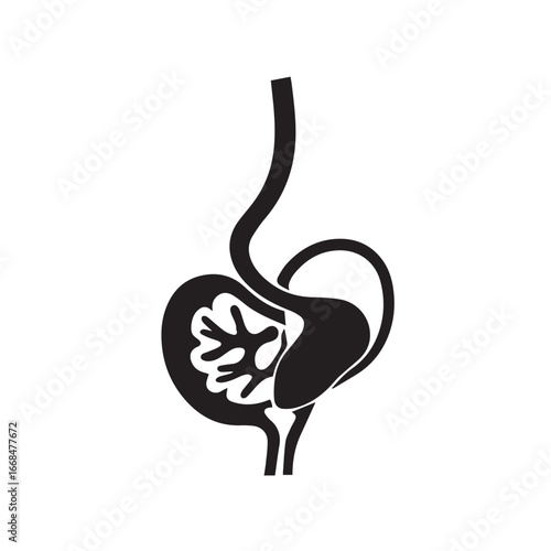 Vector art of human stomach digestive system anatomy illustration