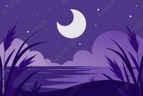 Moonlit night over water with grass and clouds