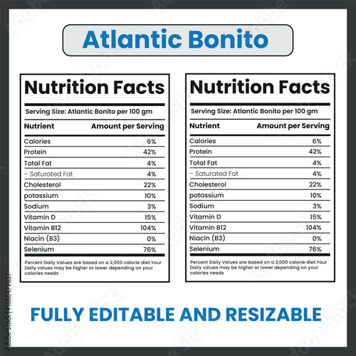 Atlantic Bonito Fish Vector