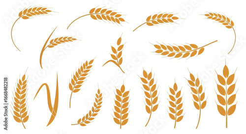 Collection of wheat stalks in various orientations, isolated on a white background.