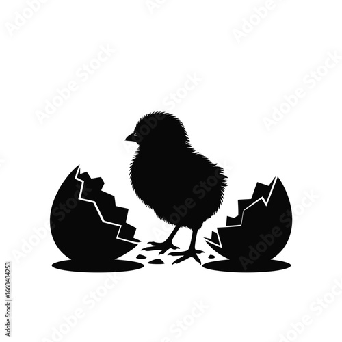 Newly hatched chick emerges from cracked eggshell silhouette