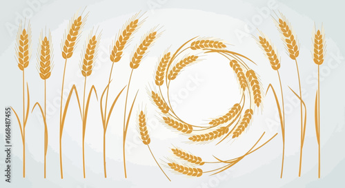 Illustration of golden wheat stalks arranged in a design, representing harvest season.