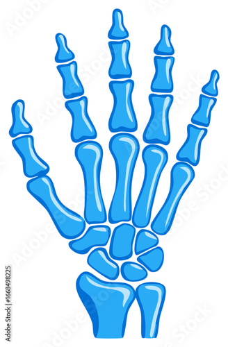 Stylized blue cartoon illustration of a human hand skeleton showing bones and joints.