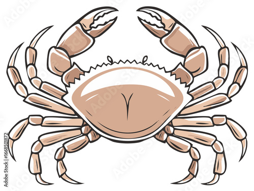 Stylized marine crab with raised claws isolated cartoon illustration
