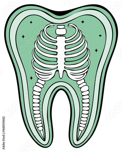 Tooth Anatomy Illustration with Rib Cage Depiction