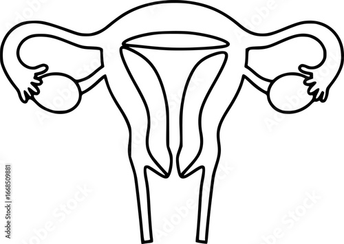 Minimalist one line drawing of a human uterus with fallopian tubes. Modern medical anatomy concept
