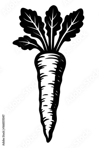 Fresh Carrot Root Vegetable - An Illustration for Organic Food and Healthy Eating