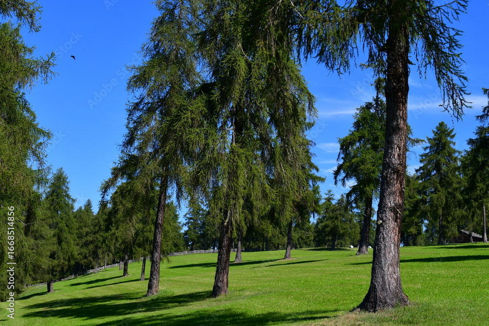 Obraz premium Schöne Landschaft am Salten in Südtirol 