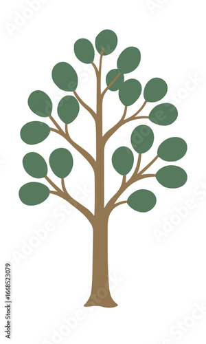 Olive tree illustration isolated on white background
