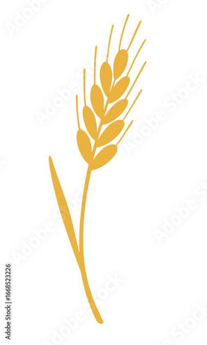 Wheat ear illustration isolated on white background