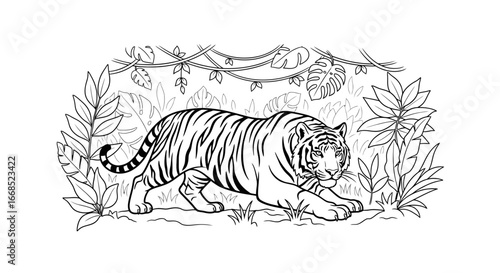 striped tiger in lush jungle, line art, wildlife illustration, predator, wild cat, tropical leaves, nature scene, crouching tiger