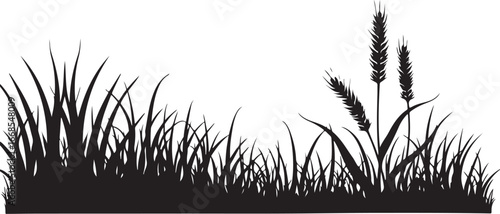 Wallpaper Mural Wheat and grass silhouette border Torontodigital.ca