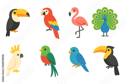 Colorful Exotic Birds. Flat vector mini-illustrations exotic birds in colors children's illustrations: toucan, macaw, flamingo,
