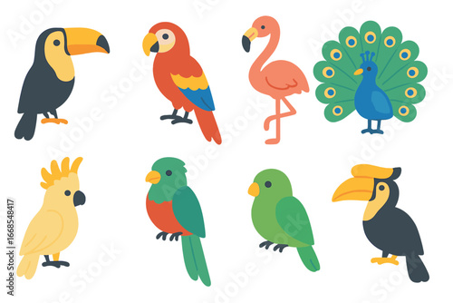 Colorful Exotic Birds. Flat vector mini-illustrations exotic birds in colors children's illustrations: toucan, macaw, flamingo,