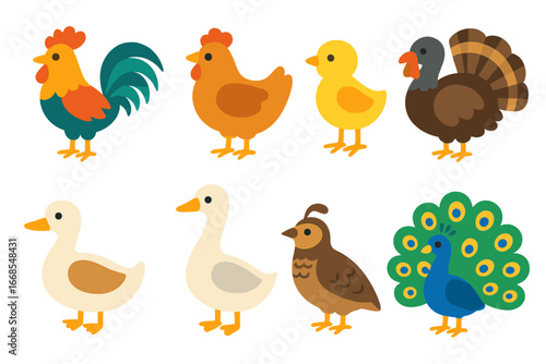 Colorful Farm Birds Icons. Flat vector mini-illustrations farm birds in colors children's illustrations: rooster, hen, chick,