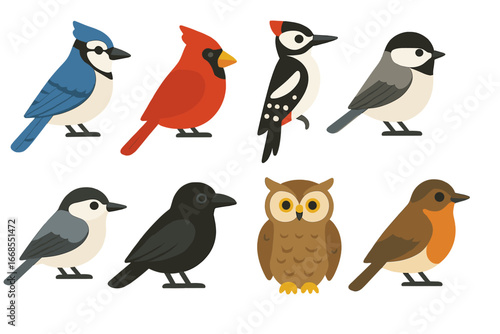 Forest Bird Icons. Flat vector mini-illustrations forest birds in colors children's illustrations: blue jay, cardinal, woodpecker,