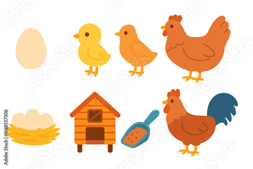 Chicken Lifecycle Icons. Flat vector mini-illustrations chicken lifecycle in colors children's illustrations: egg, chick, pullet,