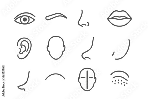 Facial Features Icons. Line style icons of facial features: eye icon, eyebrow shape, nose line, lips outline, ear icon, face