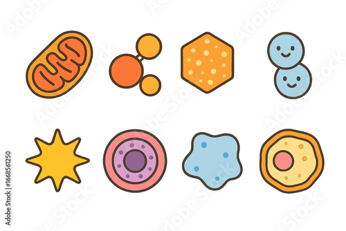Colorful Cell Components. Flat vector mini-illustrations cell energy in colors children's illustrations: mitochondria, ATP