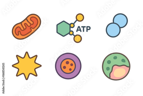 Colorful Cell Components. Flat vector mini-illustrations cell energy in colors children's illustrations: mitochondria, ATP