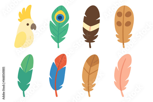 Colorful Feather Grid. Flat vector mini-illustrations bird feathers in colors children's illustrations: cockatoo feather, peacock