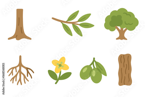 Olive Tree Anatomy Icons. Flat vector mini-illustrations olive tree anatomy in colors children's illustrations: olive trunk,