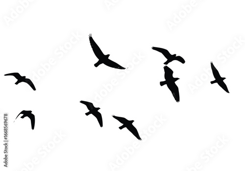 Vector illustration of silhouette of a flock of birds flying in the sky