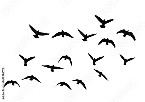 Vector illustration of flock of birds flying in silhouette