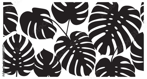 Artistic silhouette of lush tropical monstera deliciosa plant leaves in a repeating pattern isolated on transparent background