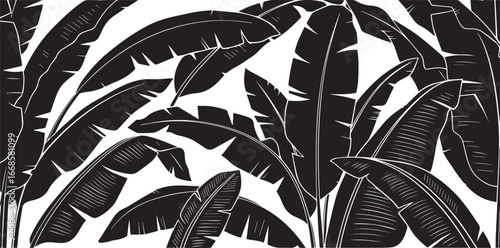 Intricate black and white illustration of lush banana leaves creating a dense tropical jungle pattern isolated on transparent background