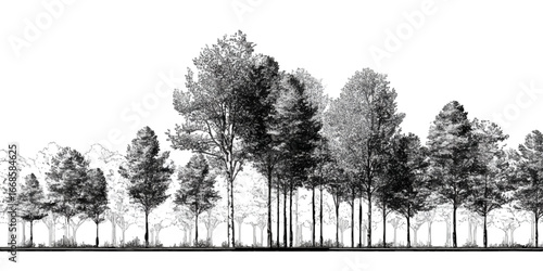 Architectural Forest Outline – Minimal CAD Tree Line Side View, Section, Landscape Design, Vector Illustration, Outdoor Green Space texture vector design on transparent background.