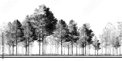 Architectural Forest Outline – Minimal CAD Tree Line Side View, Section, Landscape Design, Vector Illustration, Outdoor Green Space texture vector design on transparent background.