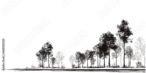 Vector Tilia Linden Basswood Lime Trees – Winter Set, Street and Garden Landscape, Isolated Cutout, Tree Silhouette, Minimal CAD Line Drawing, Outdoor Environment Elements 