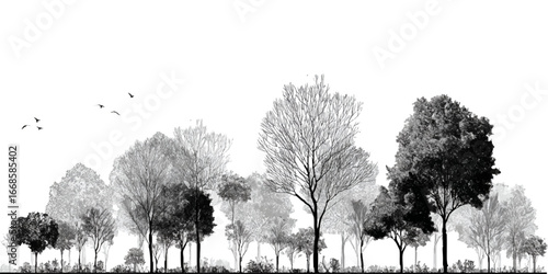 Architectural Drawings, Minimal style cad tree with roots line drawing and Tree Grunge vector, view, set of section wetland forest outline for landscape design drawing. 