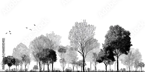 Fototapeta Architectural Drawings, Minimal style cad tree with roots line drawing and Tree Grunge vector, view, set of section wetland forest outline for landscape design drawing. 