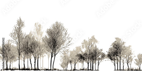 Architectural Drawings, Minimal style cad tree with roots line drawing and Tree Grunge vector, view, set of section wetland forest outline for landscape design drawing. 