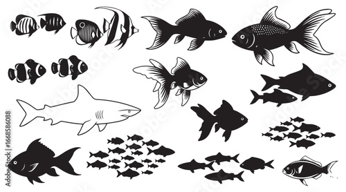 Collection of hand drawn artistic black and white fish silhouettes and illustrations isolated on transparent background