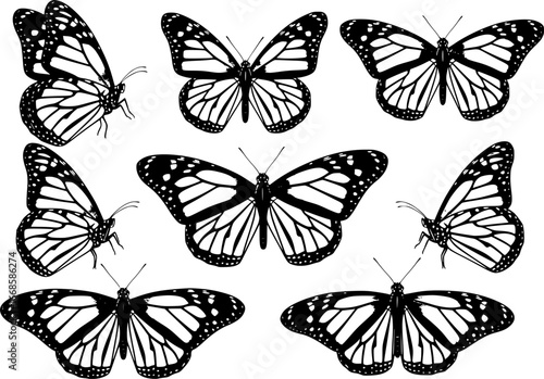 Monarch butterfly silhouettes collection, vector illustration isolated on white background
