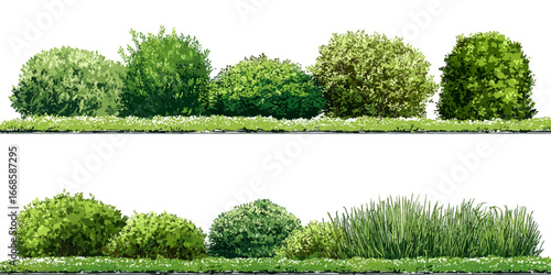 Collection of Beautiful Trees set – Isolated Cottonwood and Plane Trees, Transparent Background for Architectural and Garden Design