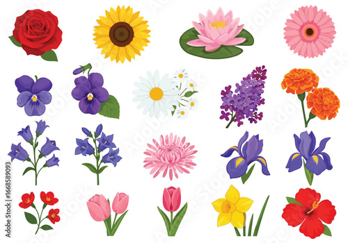 Vector illustration of collection of various colorful flowers