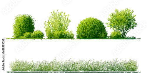 Isolated Olive Green Tree set Cutout Variations for Landscape Design and Postproduction Renders vector design on transparent background.