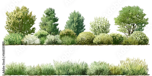 Isolated Olive Green Tree set Cutout Variations for Landscape Design and Postproduction Renders vector design on transparent background.