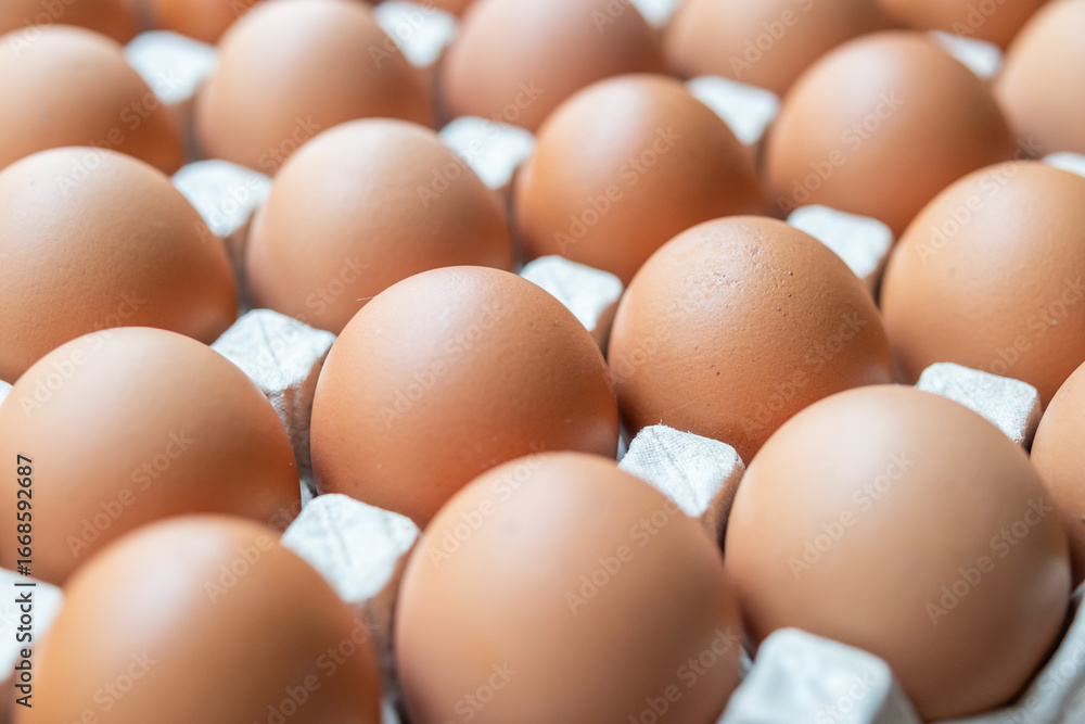 Fresh organic brown chicken eggs in cardboard tray Fresh organic brown chicken eggs in cardboard tray