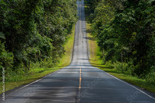 The post-rain atmosphere of a forest road leading up to the mountain peak in Khao Yai National Park, Thailand.